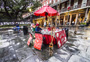 Reader on Jackson square
