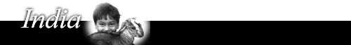 India_ban.JPG (6686 bytes)